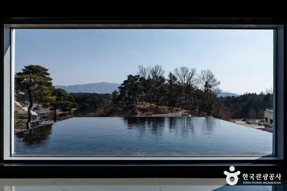 김병종미술관 창 너머 수공간과 숲 전경