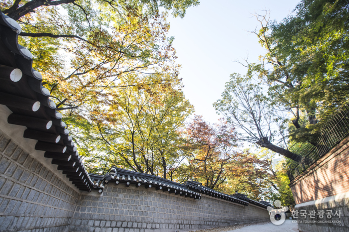 덕수궁 돌담길 돌담 사이 조용한 산책로 자료사진