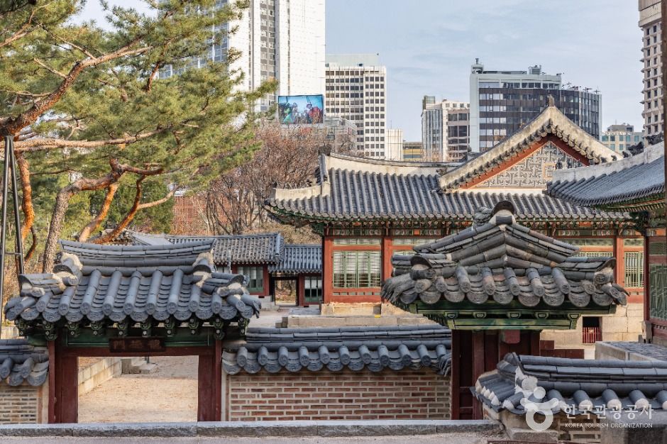 덕수궁 궁궐 지붕과 담장 전경 자료사진