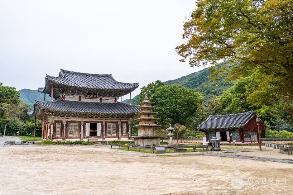 무량사 극락전과 앞마당
