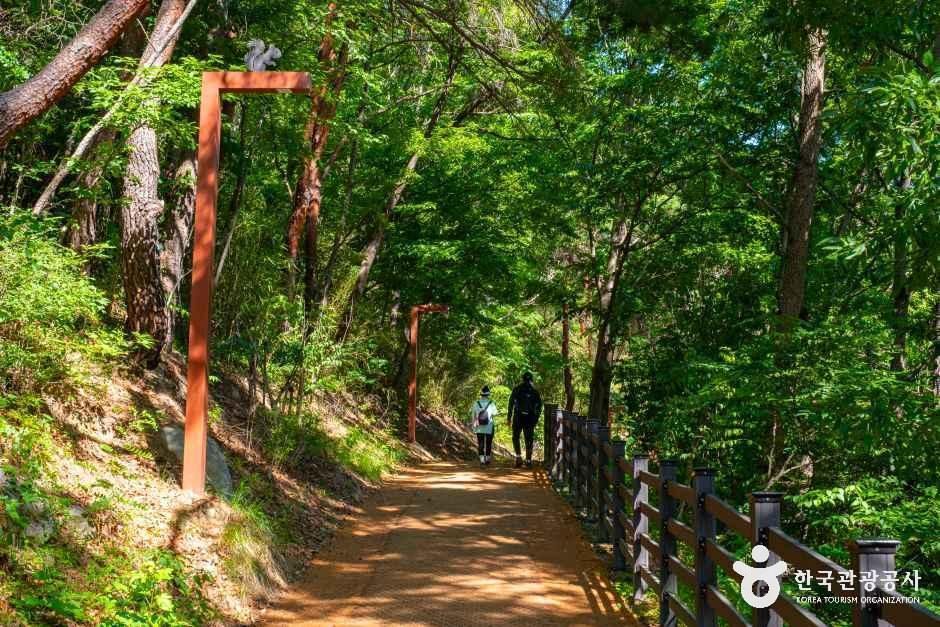용두산 숲길을 걷는 사람들의 뒷모습